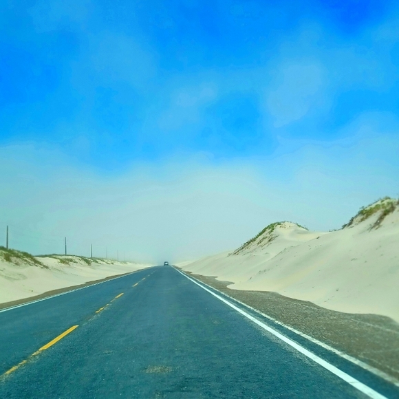 Meet your Posher, Thelma - Picture 1 of 1